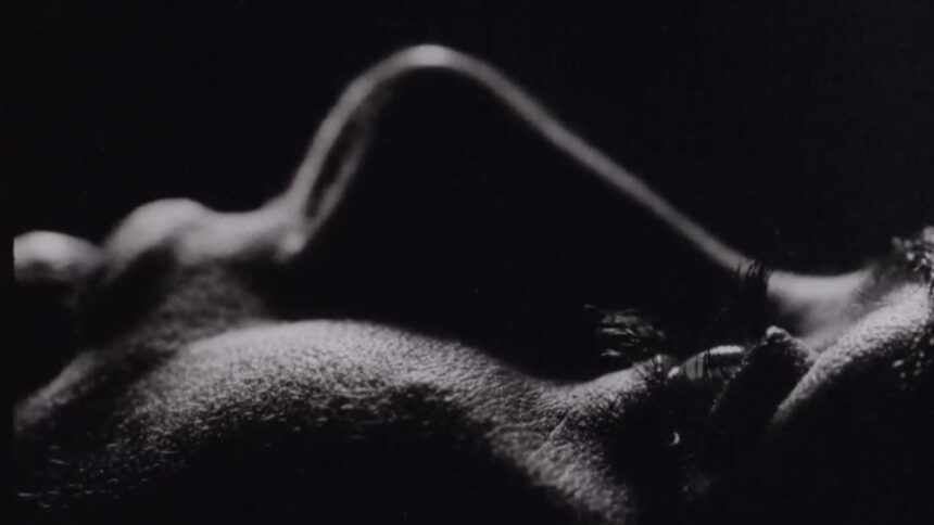 «Vagina Dentata», της Νατάσα Ούρμπαν, με τη συμμετοχή της Manifest Film