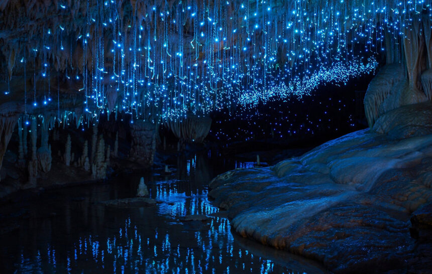 Waitomo Glowworm Caves: Το σπήλαιο στη Νέα Ζηλανδία που μοιάζει με έναστρο ουρανό