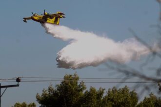 Μεγάλη φωτιά τώρα στη Χαλκιδική: Ξέσπασε στο πρώτο πόδι – Σηκώθηκαν 7 εναέρια
