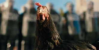 Νέο αμερικανικό τρέιλερ για την ταινία Chicken “Hen” Following a Bird on the Run
