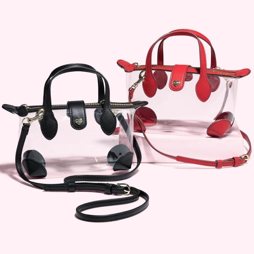 Clear Stadium Bags That Are Actually Cute