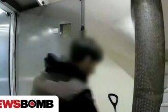 Αττική: Έτσι δρούσε η σπείρα που ρήμαζε σπίτια – Το «σταμπάρισμα» με την κόλλα και η οικιακή βοηθός