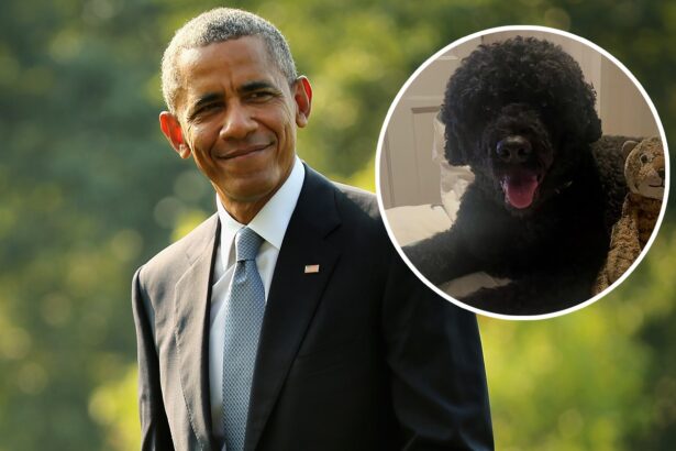 Barack Obama, Michelle Obama’s Beloved Dog Sunny Dead at 13