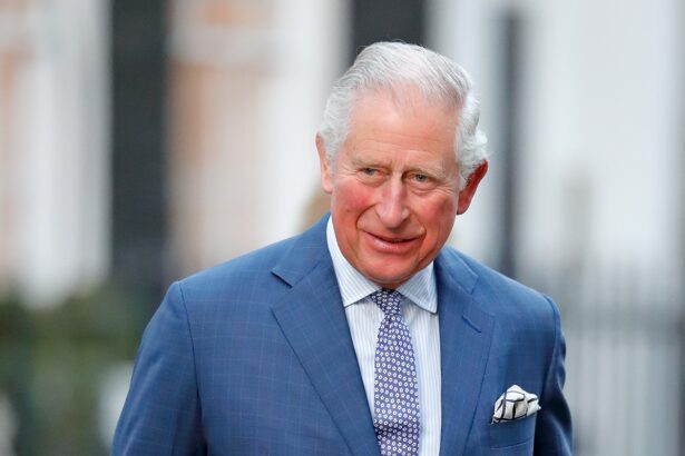 Did King Charles Say Princess Diana Would Be Forgotten After Death?