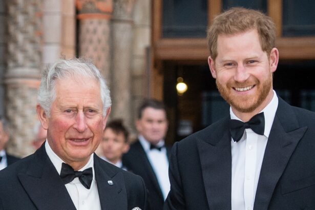Prince Harry Spoke to King Charles III After U.K. Move With Meghan Markle
