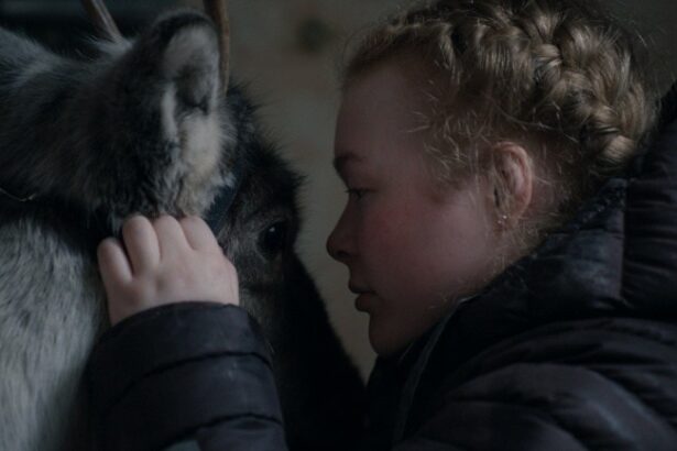 ‘Brace Your Heart’ Review: An Impassioned Ode to Sámi Womanhood