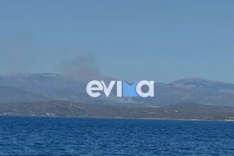 Οριοθετήθηκε η φωτιά σε δασική έκταση στην Εύβοια