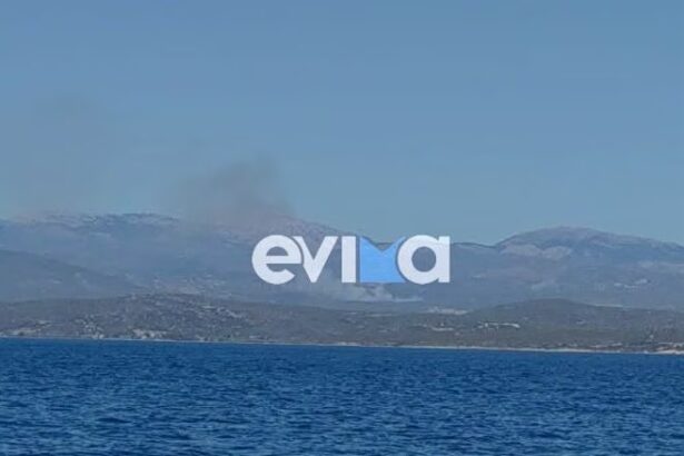 Οριοθετήθηκε η φωτιά σε δασική έκταση στην Εύβοια
