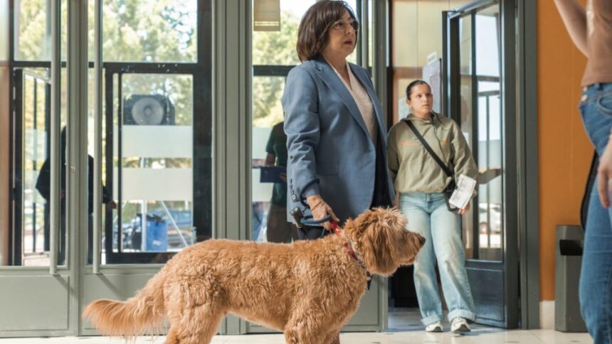 ‘Killing a Bear,’ ‘Celeste’ S2, Make Serielizados 2026 Competition Cut