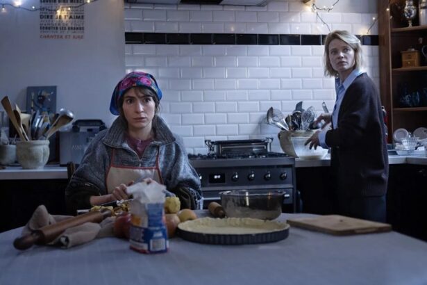 Radu Jude’s ‘The Diary of a Chambermaid’ Secures U.S. Distribution