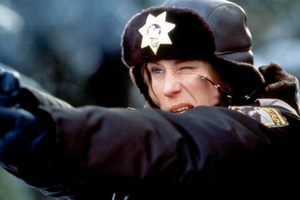 Todd Haynes, Frances McDormand Join Lumière Festival Lineup 