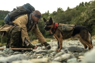 ‘Heart of the Beast’ Review: Brad Pitt Is a Veteran Stranded with his Combat Dog in David Ayer’s Stirringly Crafted Survival-in-the-Wild Saga