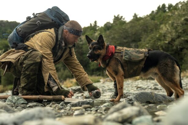 ‘Heart of the Beast’ Review: Brad Pitt Is a Veteran Stranded with his Combat Dog in David Ayer’s Stirringly Crafted Survival-in-the-Wild Saga