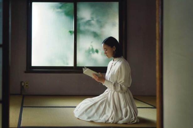 San Sebastian, Busan Title ‘In My Father’s Room’ Sells for Bitters End