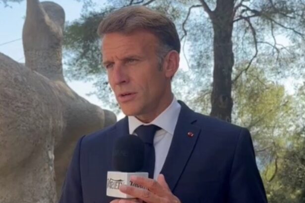 Macron Calls on YouTube to Finance Content, Warns of Threat to Culture