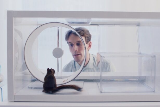 Aki Kaurismäki Praises Finnish Oscar Submission ‘The Squirrel’