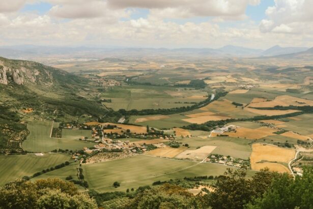 Basque Film Production Boom: Who Owns the Growth?
