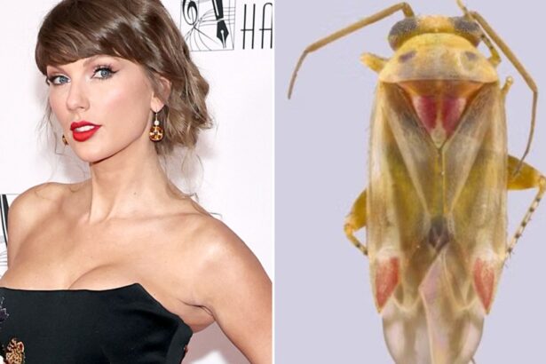 Taylor Swift Inspires Name for Newly Discovered Plant-Eating Insects