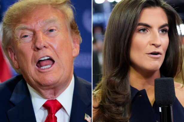 Trump Rages at CNN’s Kaitlan Collins in Midnight Rant: She Has ‘Trump Addiction’