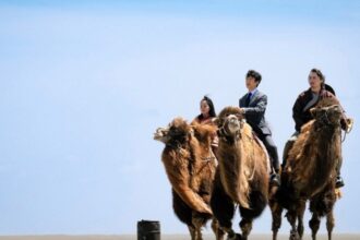 ‘Vivant’ Tops Asia Streaming Chart, First Japanese Drama to Lead