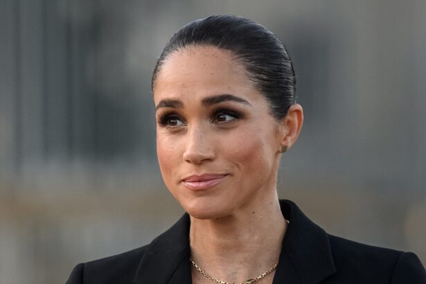 Theo James Reacts to Meghan Markle’s The Gentlemen Casting Rumors