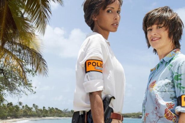 France TV Exports Plummet Amid Ad Decline, Broadcaster Budget Cuts, ‘Deteriorating Economic Environment’
