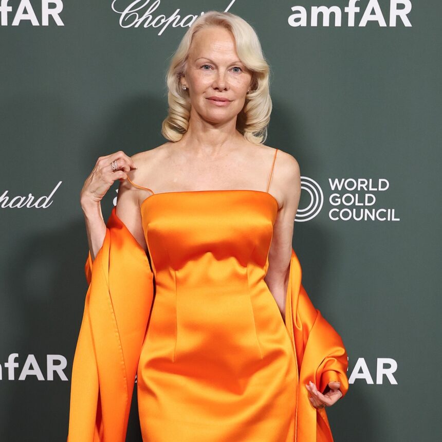 Pamela Anderson Updates on Hepatitis C Diagnosis, Recovery