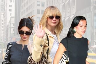 The Zebra Handbags Celebs Are Carrying for Fall