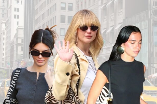 The Zebra Handbags Celebs Are Carrying for Fall