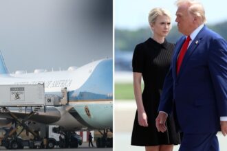 Netflix Probes Trump’s Catering Truck Escape in ‘Instadocs: The Decoy Plane’