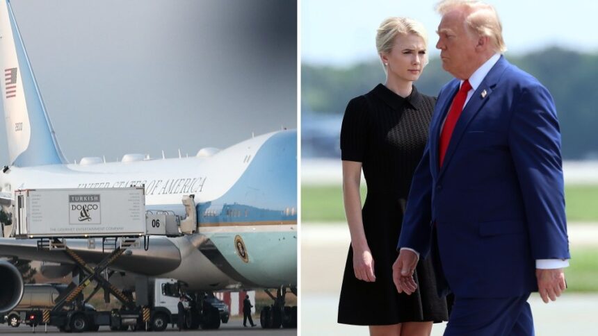 Netflix Probes Trump’s Catering Truck Escape in ‘Instadocs: The Decoy Plane’