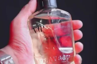7 Best Playboy Colognes to Smell Irresistibly Sexy in 2026