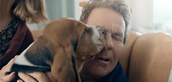 Τρέιλερ της ταινίας Cheesy Netflix “A Dog’s Perfect Christmas” με τον Quaid