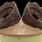 The translation of “Dune 3 Popcorn Bucket Has Two Sandworms” into Greek is: 

“Το κουβάς ποπκόρν ‘Dune 3’ έχει δύο σκουλήκια της άμμου.”