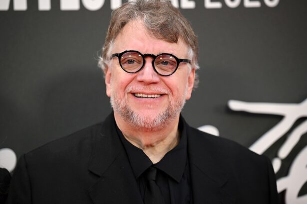 Guillermo Del Toro Defends ‘Digger’