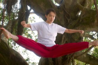Stephen Chow’s ‘Kung Fu Soccer’ Sets U.S., U.K. Release, English Dub