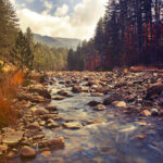 Βάλια Κάλντα: Το μαγευτικό δάσος της Πίνδου που μεταμορφώνεται σε φθινοπωρινό πίνακα ζωγραφικής