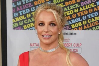 Britney Spears & Sons Jayden James, Sean Preston Visit Dollywood: Photo